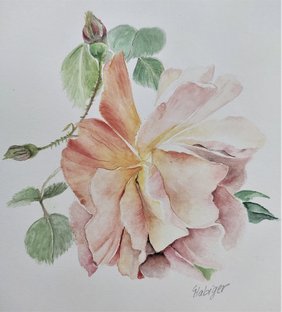 Aquarell_Rose Aquarell_Rose
