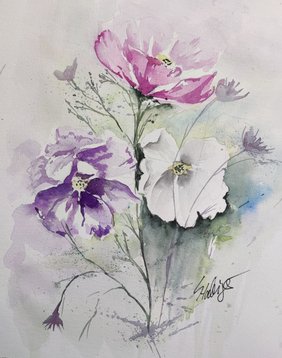 Aquarell_Cosmea Aquarell_Cosmea
